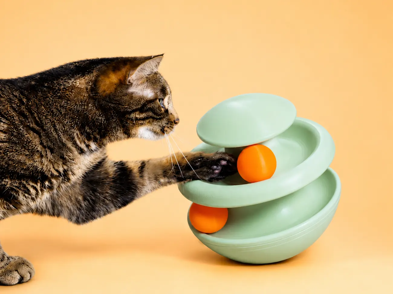 Torre de bolinhas para gato