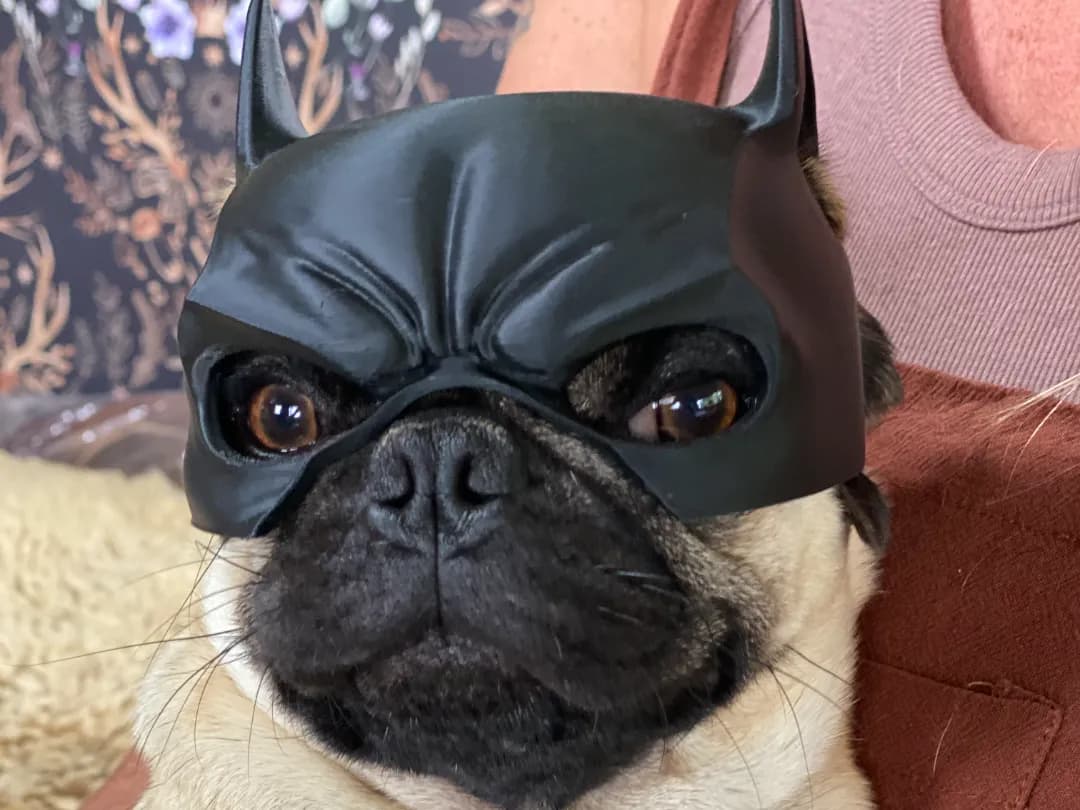 Máscara estilo herói para cão de focinho curto
