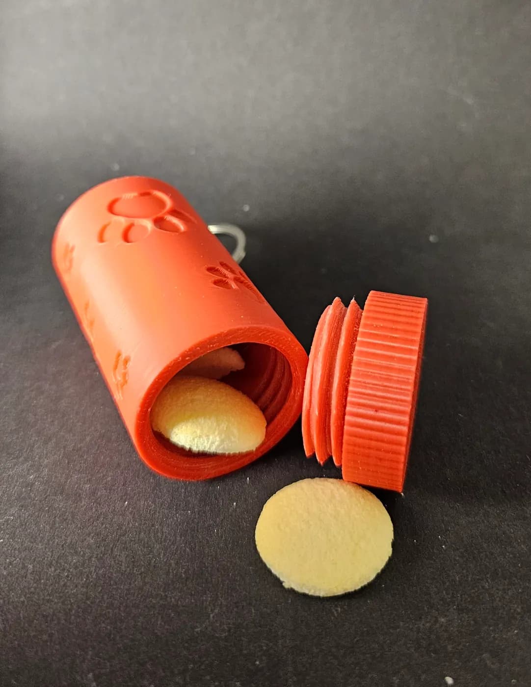 Porta-biscoito para o passeio
