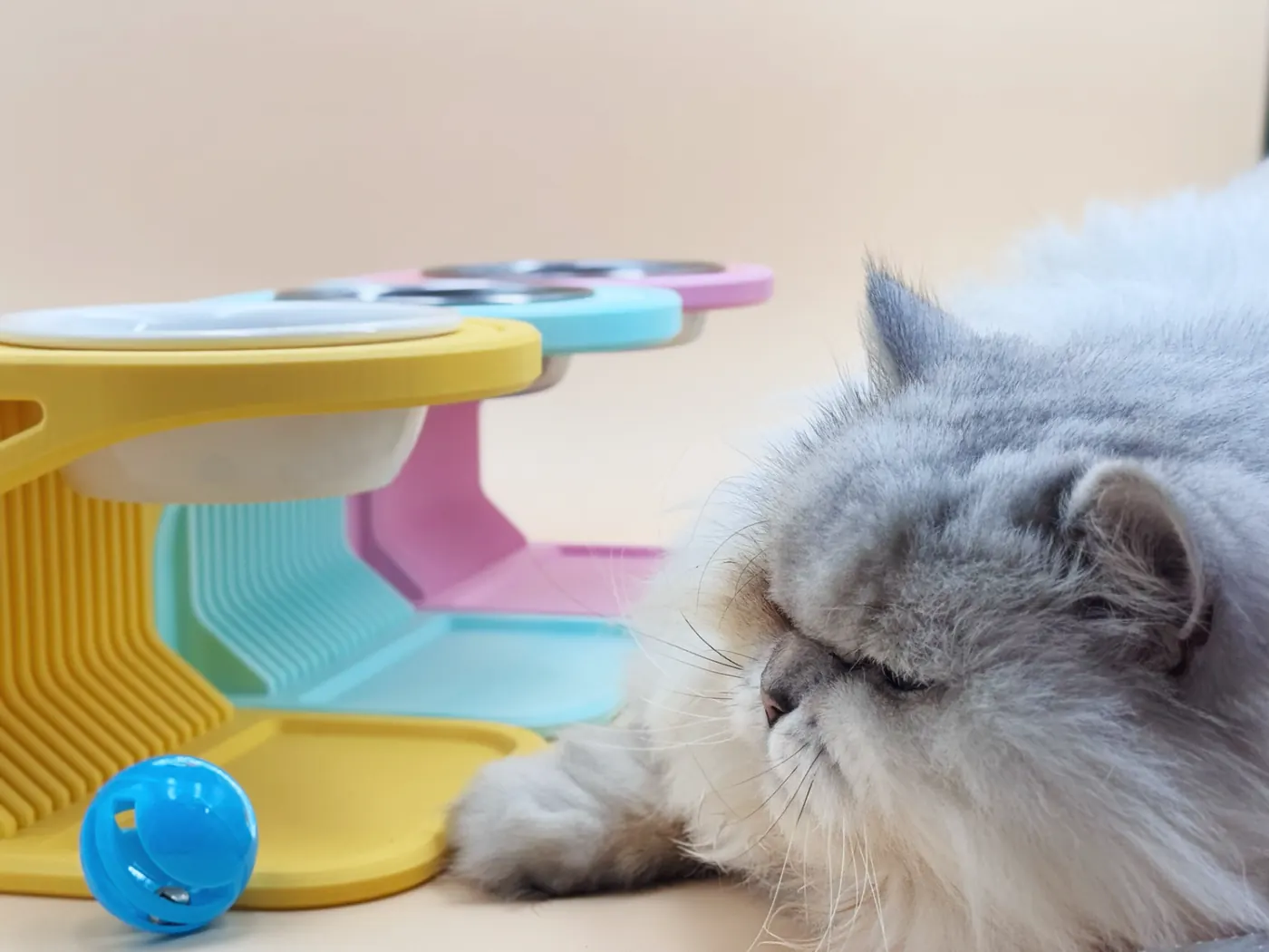 Suporte elevado para tigela de gato